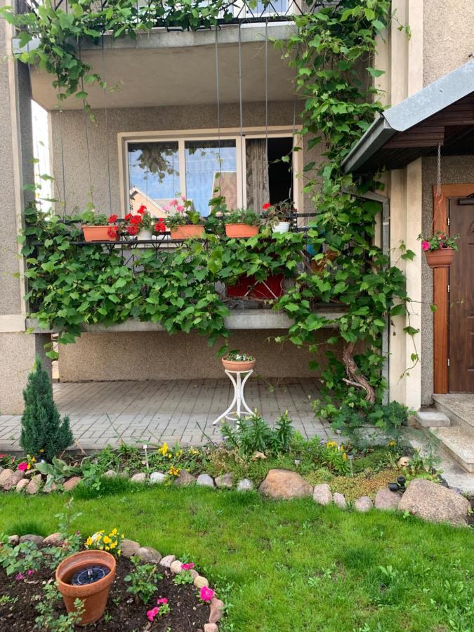 Отель Regina House Каунас Экстерьер фото